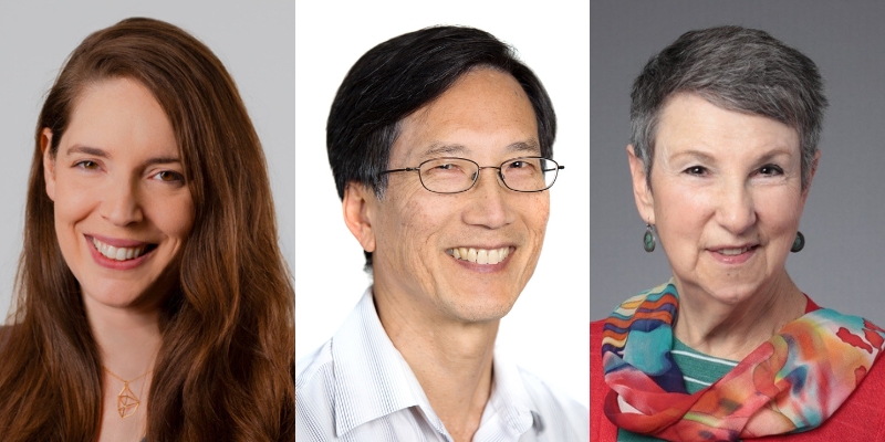 Headshots of Allison Fine, Dr. Alan Chun, and Rebecca Crichton