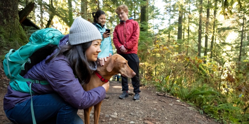 A hiker wearing a purple jacket and gray beanie kneels down with her dog and looks out into the distance. Two more hikers are standing behind her on the forest trail.