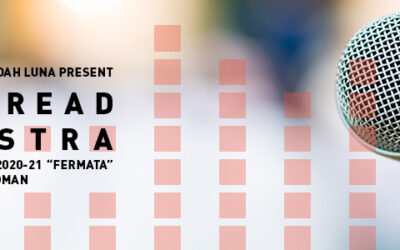 Fermata | Widespread Orchestra Feature Release